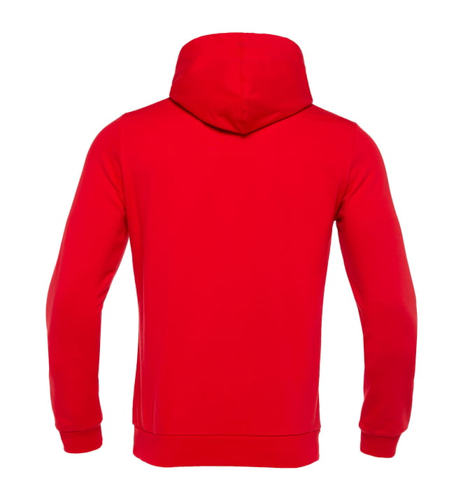 Hoodie PLVPB Volley