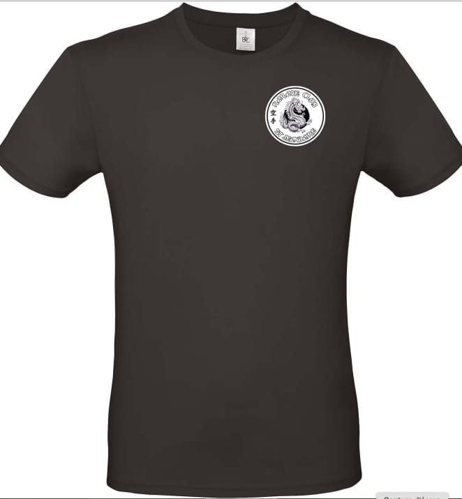 T-shirt coton Homme St-Jeandaire