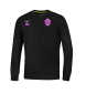 Sweat Vesoul RC