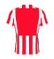 Maglia Strip