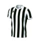 Camiseta Strip
