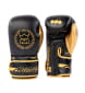 Gants Multiboxes Victory